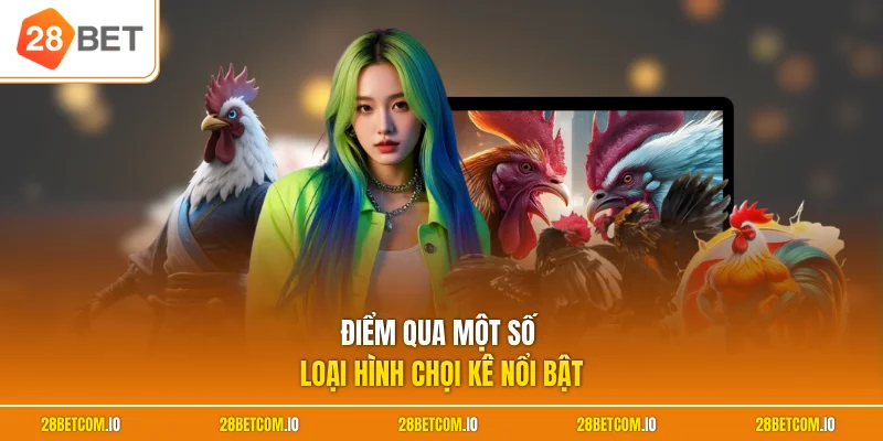 Điểm qua một số loại hình chọi kê nổi bật